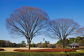広場の奥から天守閣方面を見る